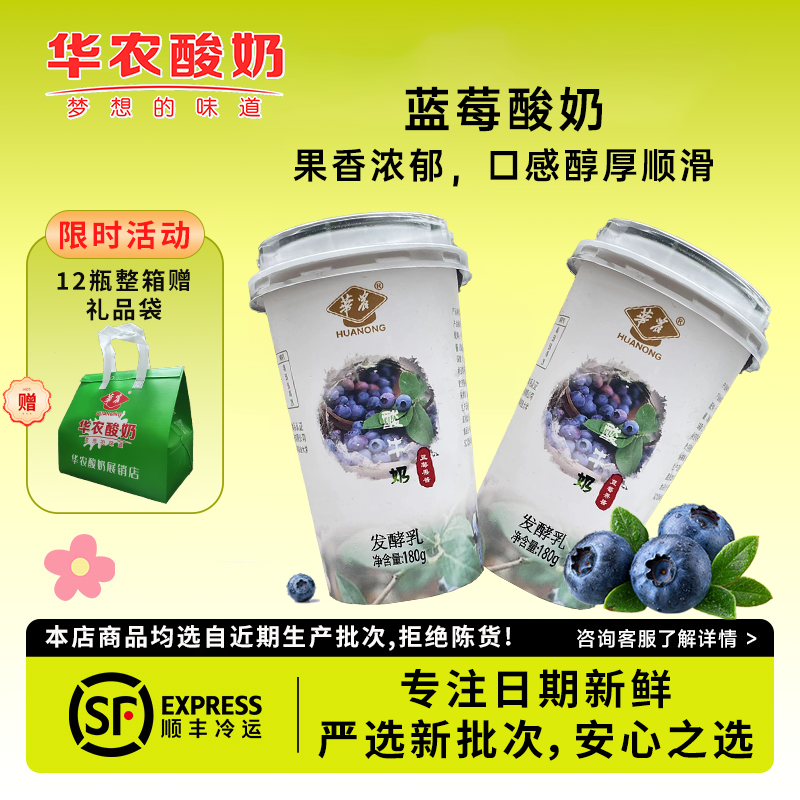 华农酸奶学士蓝莓酸牛奶益生菌低温发酵乳广州华南农业大学旗舰