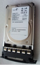 E3000 FC阵列柜光纤硬盘 73G 10K ST373207FC