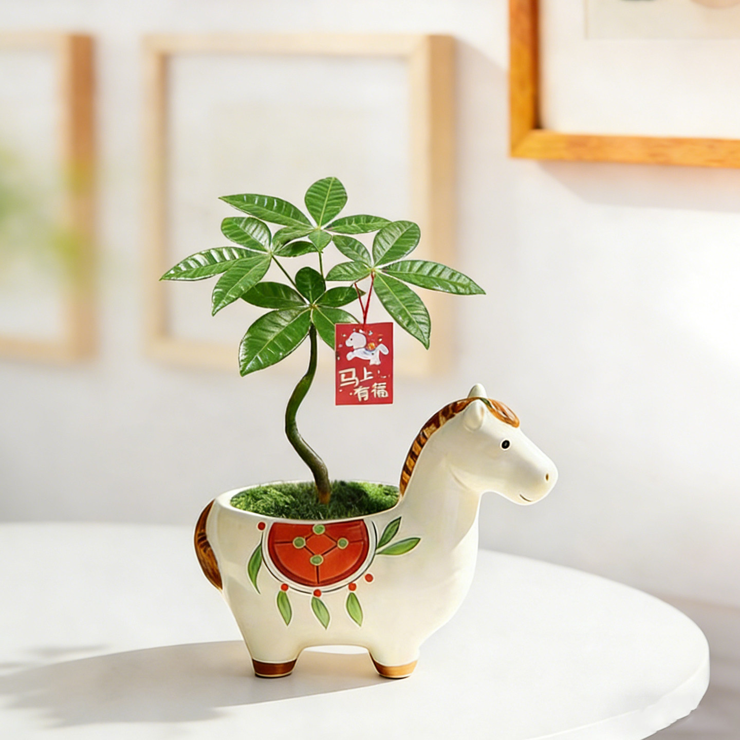 马年伴手礼物小马盆栽发财树小盆栽办公室内桌面花卉绿植新年植物