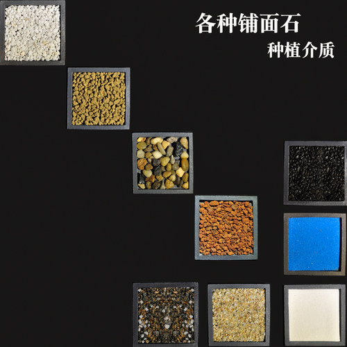 小白造景装饰天然摆件花纹盆栽