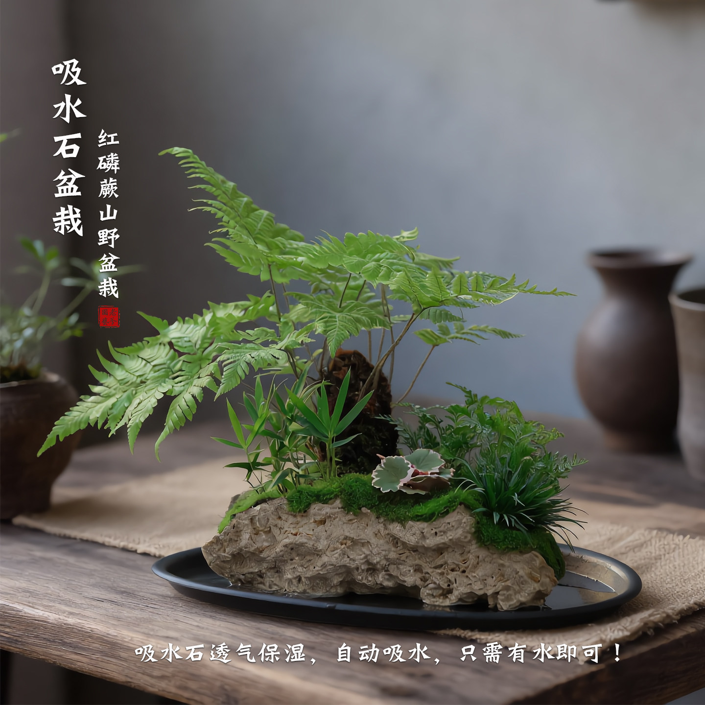 吸水石微景观自动吸水好养好打理