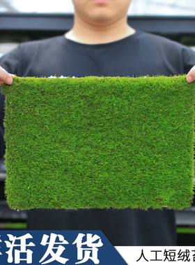 苔藓鲜活植物微景观人工短绒铺面青苔草皮室内假山造景盆景装饰