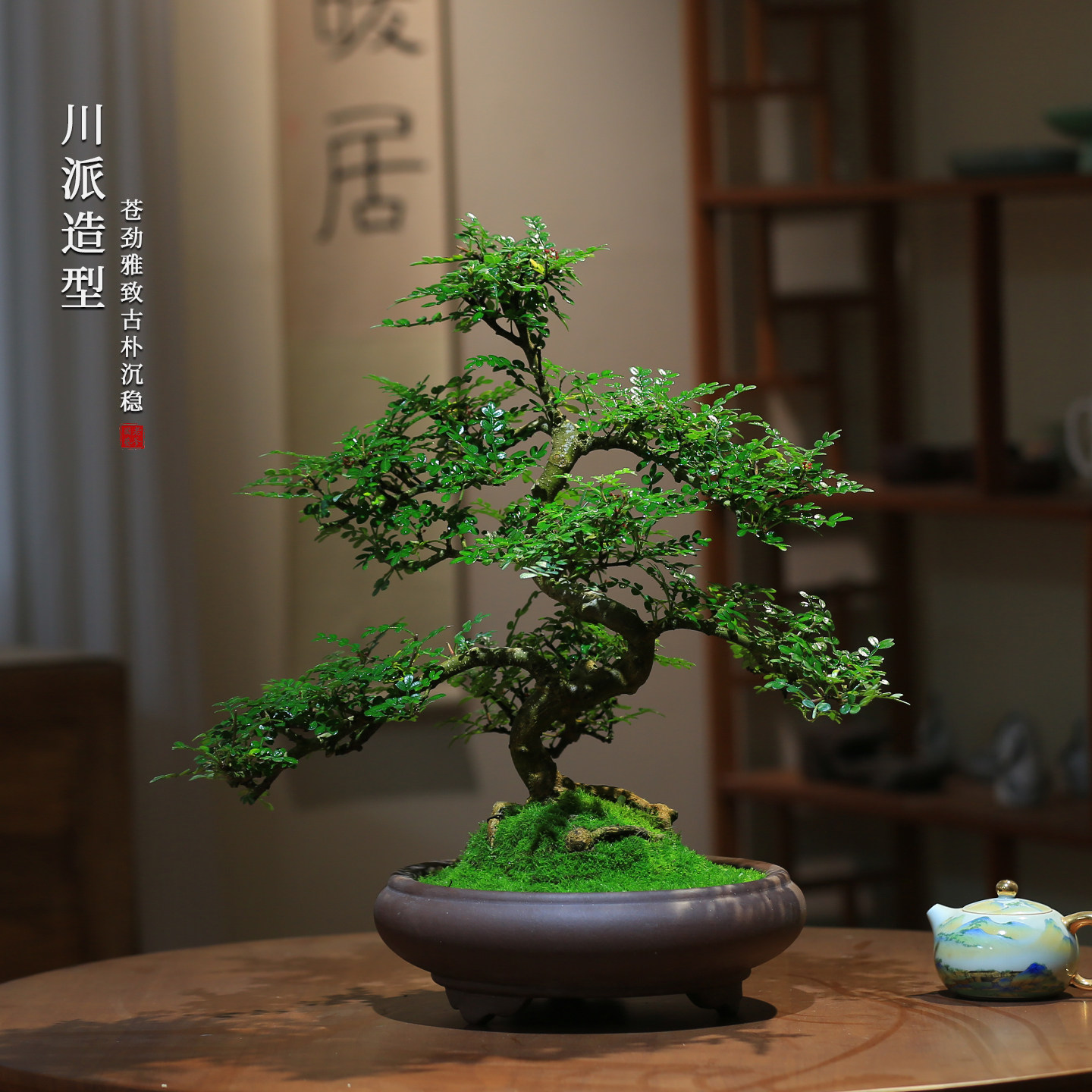 清香胡椒木老桩造型盆景室内耐阴四季常青绿植桌面禅意植物盆栽,鲜花速递/花卉仿真/绿植园艺,造型盆景,淘宝优惠券,粉丝福利购,淘宝优惠卷