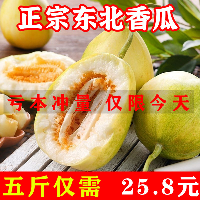 东北大地香瓜水果新鲜当季精选现摘甜瓜白糖罐超甜小脆瓜整箱 5斤图片