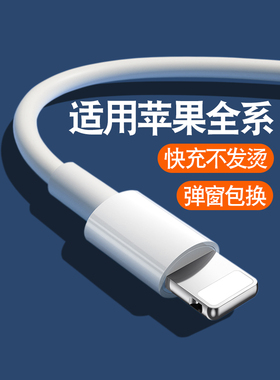匿名者适用于iPhone苹果数据线充电线14充电器PD线13数据线11快充线12pro max冲电7闪充线8plus加长2米xr