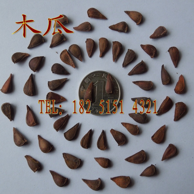 木瓜种子 木瓜树种子 光皮木瓜种子 皱皮木瓜种子 35元/斤