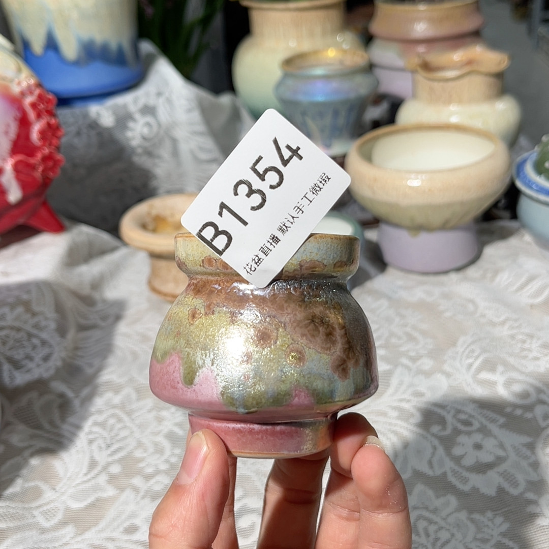 炫彩,鲜花速递/花卉仿真/绿植园艺,多肉植物,淘宝优惠券,粉丝福利购,淘宝优惠卷