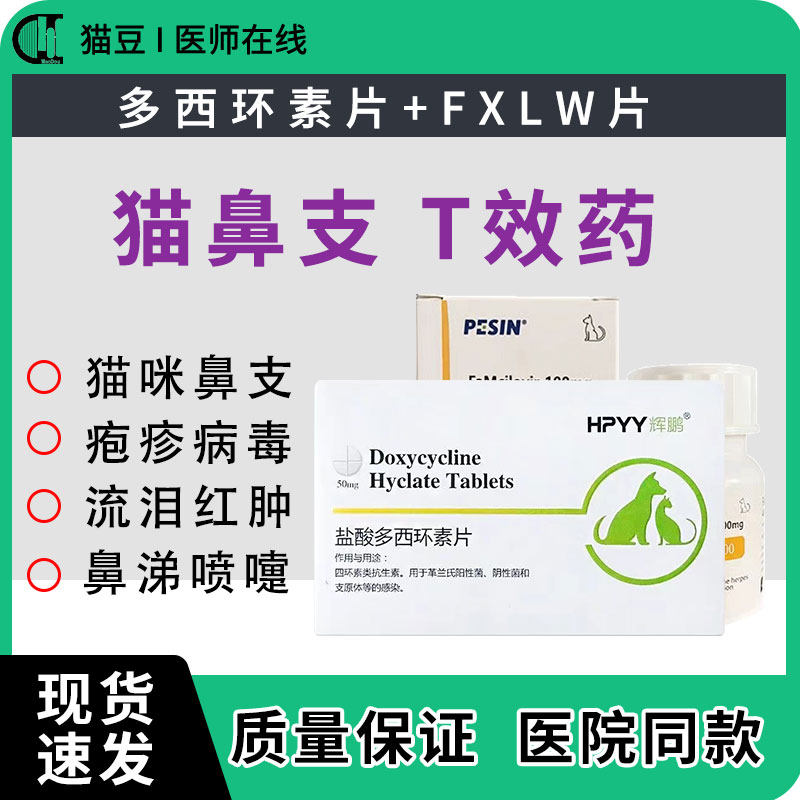 多西环素猫用泛昔洛韦猫鼻支泛昔韦洛韦片疱病毒杯状感冒流鼻涕,宠物/宠物食品及用品,猫呼吸道疾病药品,淘宝优惠券,粉丝福利购,淘宝优惠卷