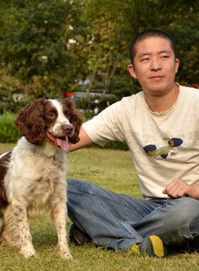 东鲁犬舍史宾格犬工作犬双血统幼犬英系史宾格狩猎系史宾格
