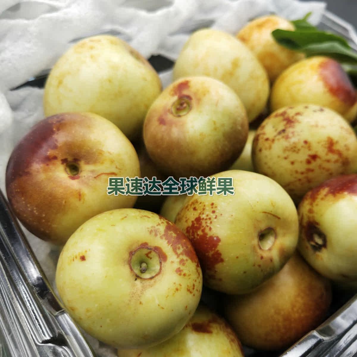 特级陕西大荔脆青枣红枣新鲜水果甜非山东沾化冬枣2斤装深圳发货|msdalam kategori daging perikanan/Buah-buahan segar dan sayur-sayuran/dimasak, buah-buahan segar, jujube - dari Buy2taobao.com untuk memberikan perkhidmatan ejen Taobao profesional membeli