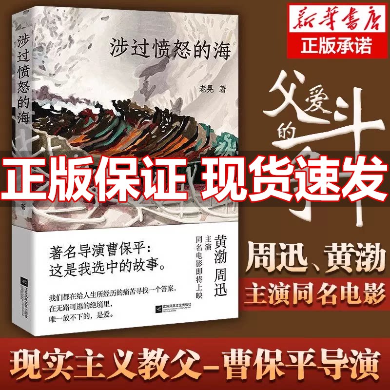 涉过愤怒的海 老晃著 周迅黄渤主演 曹保平执导同名电影原著灼心系列