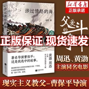 涉过愤怒的海 老晃著 周迅黄渤主演 曹保平执导同名电影原著灼心系列新作 现实主义犯罪小说影视同期书 浮冰鹈鹕小姐三部小说