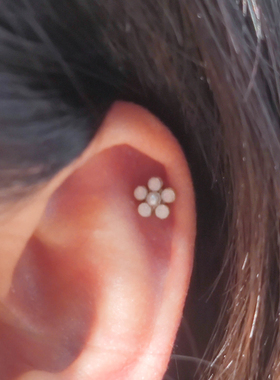 钛钢耳骨钉甜美气质耳钉合集精致百搭之白色小花小众设计感花朵