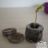 育苗块泥炭jiffy挪威进口基质块30mm38mm花卉营养土扦插播种子