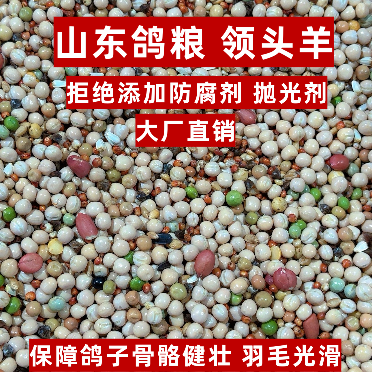 鸽粮50斤包邮AAA级无玉米幼鸽凤翼龙翔赛鸽肉鸽鸽子粮饲料鸽料