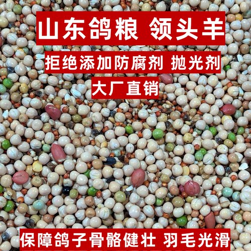 鸽粮50斤包邮AAA级无玉米幼鸽凤翼龙翔赛鸽肉鸽鸽子粮饲料鸽料