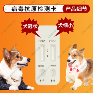 犬冠状/犬细小抗原快速检测卡CCV/CPV狗狗猫咪宠物犬猫用品检测