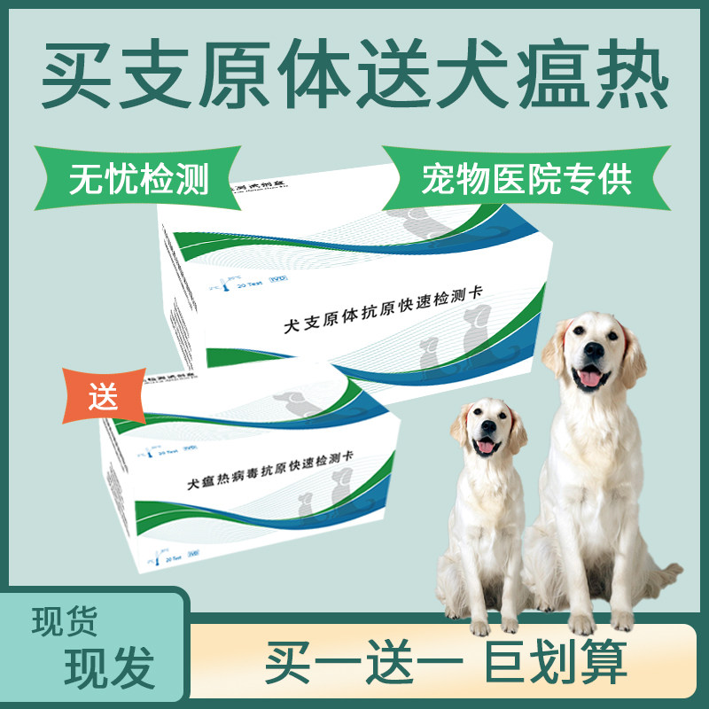 拍犬支原体检测卡送犬瘟热检测试纸狗狗猫咪医院同款