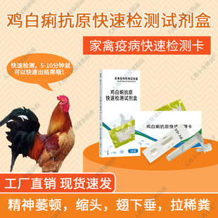 养鸡场专用鸡白痢抗原快速检测卡养殖场散鸡蛋鸡沙门氏菌检测试纸