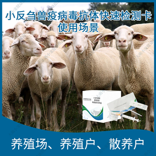 兽用小反刍抗体检测卡牛羊瘟热病毒病检测试纸