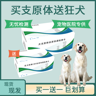 拍犬支原体检测卡送狂犬检测试纸狗狗猫咪医院同款