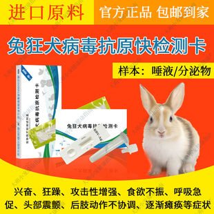 兔狂犬病毒抗原快速检测卡异宠健康检测仓鼠蝾螈宠物快速检测试纸