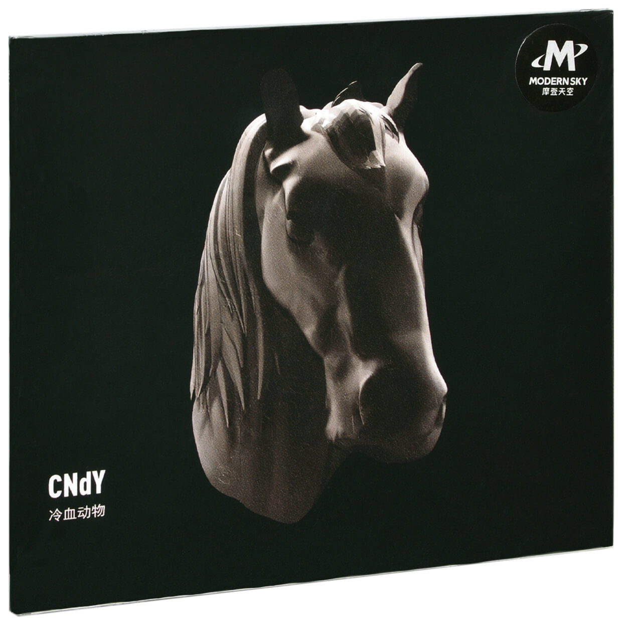 CNdY乐队 冷血动物 专辑 摩登天空唱片CD碟片