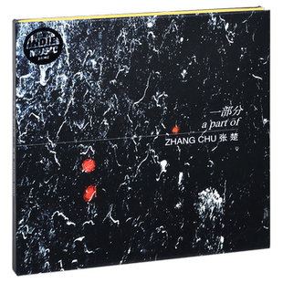 正版唱片 张楚 一部分 2019专辑CD+歌词本