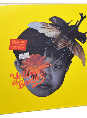 正版唱片 钱正昊 黄色甲壳虫 2019专辑 LP彩胶+CD