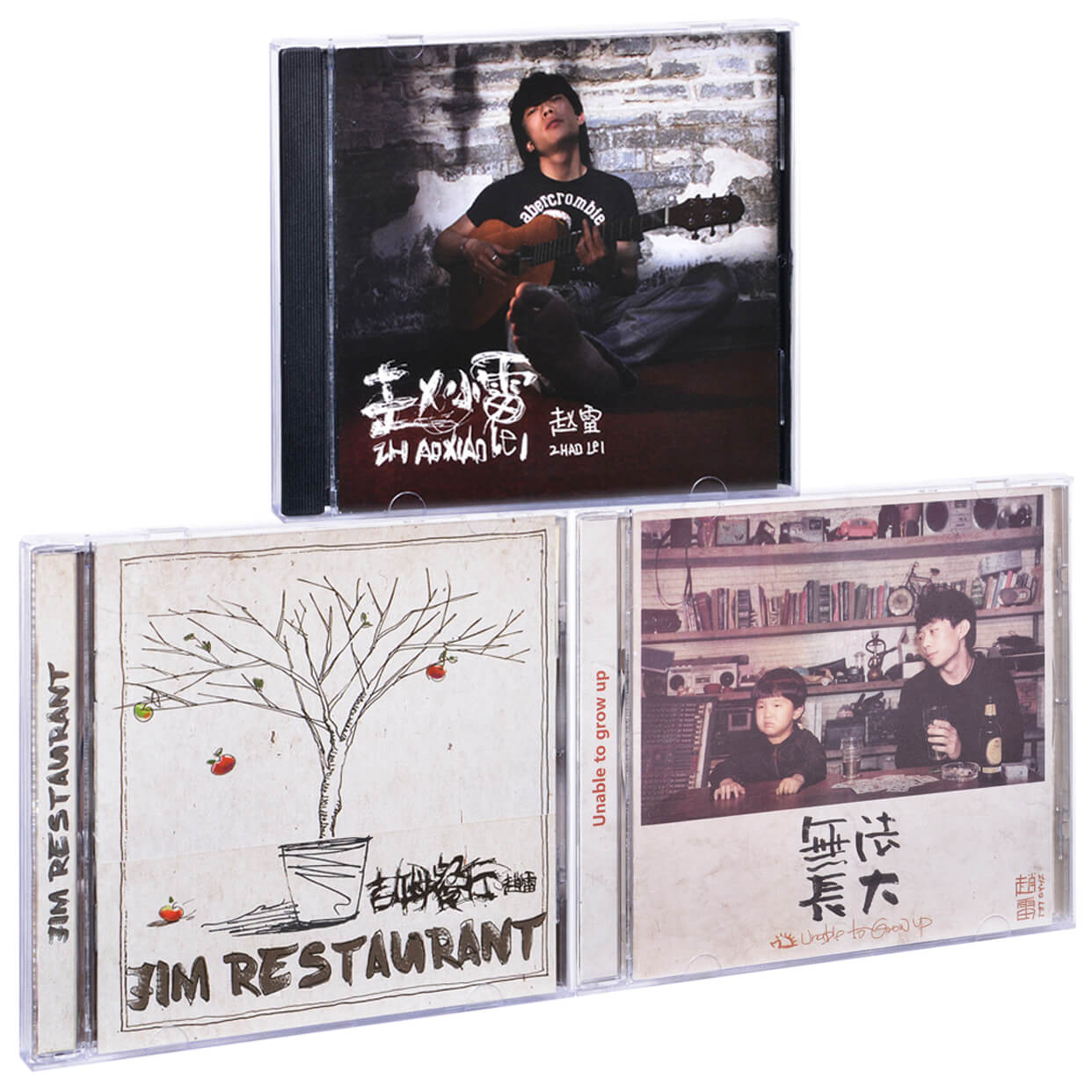 赵雷3张专辑 赵小雷+吉姆餐厅+无法长大 唱片3CD+歌词本