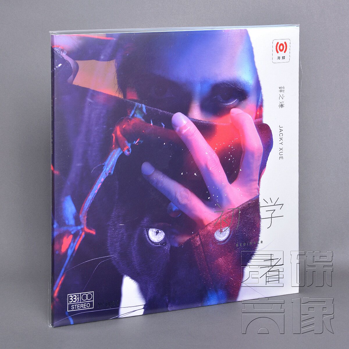 正版 薛之谦专辑 初学者 LP黑胶唱片留声机12寸彩胶碟片 流行音乐