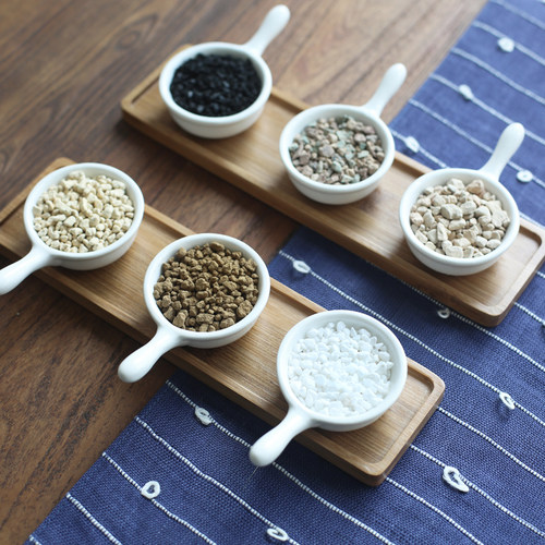 壹分皿多肉植物碳水美观硅藻土