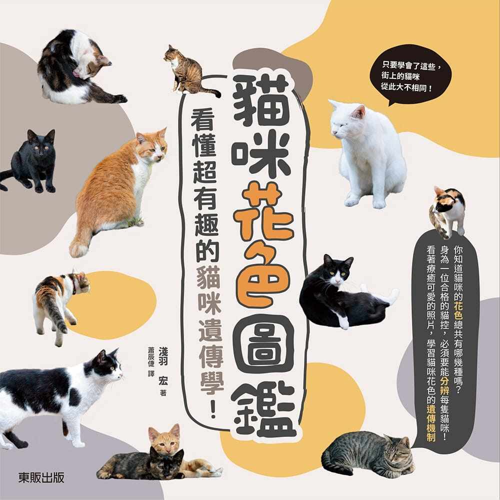 预售台版 猫咪花色图鉴看懂有趣的猫咪遗传学分门别类介绍11种花色