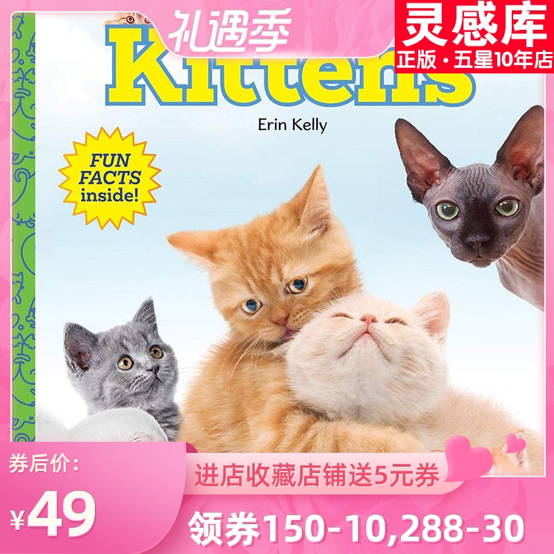 【现货】英文原版 Kittens 小猫 幼儿早教亲子互动问答 少儿启蒙英语视觉单词动物科普儿童图画书籍