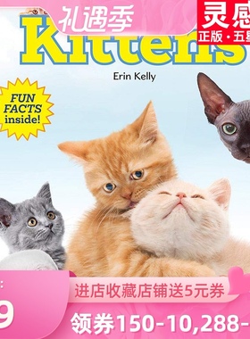【现货】英文原版 Kittens 小猫 幼儿早教亲子互动问答 少儿启蒙英语视觉单词动物科普儿童图画书籍