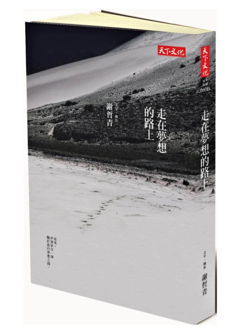 现货台版 走在梦想的路上 青少年人生历练心理励志故事书籍