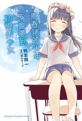预售台版 青春猪头少年不会梦到初恋美少女 青春猪头少年系列(7)青少年读物艺术插画绘本二次元漫画小说书籍使用感如何?