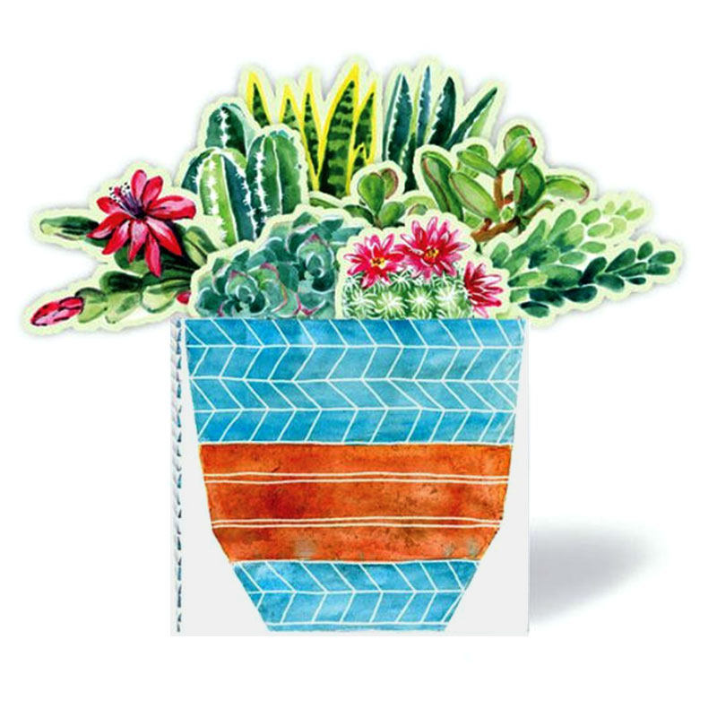 预订商品，付款后35天内发货！