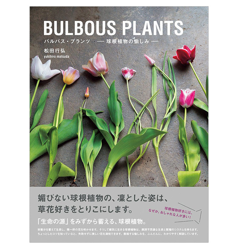 【现货】日文原版 BULBOUS PLANTS バルバス?プランツ-球根植物の愉しみ 手工园艺水仙百合种植书籍 PIE出版