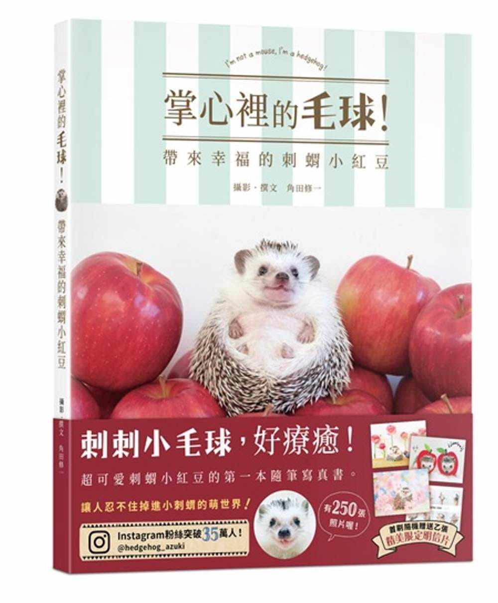 【现货】台版《掌心里的毛球 带来幸福的刺猬小红豆》收录过250张萌小刺猬照片饲养要诀照片拍摄方法摄影书籍