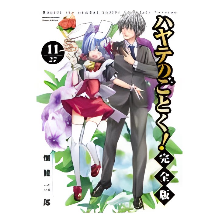 完全版  11旋风管家11 小学館 畑健二郎  漫画