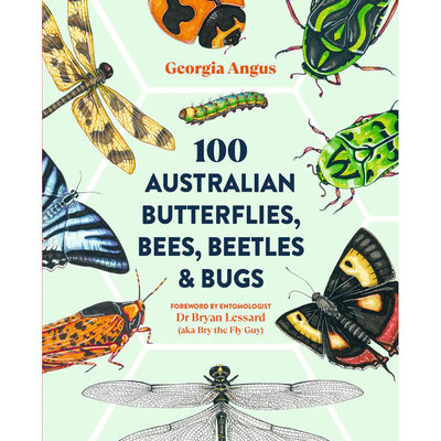 【预售】英文原版100Australian Butterflies Bees Beetles Bugs100种澳大利亚蝴蝶蜜蜂甲虫臭虫Hardie Grant Uk Ltd自然科学书籍