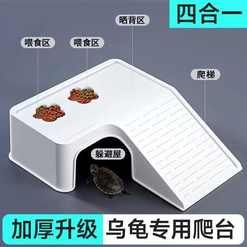 乌龟饲养缸家用鱼缸客厅小型养乌龟专用箱生态造景晒爬台桌面龟缸