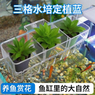 鱼缸水培植物篮半圆形家用水草种植杯壁挂设计高透明鱼缸造景装饰