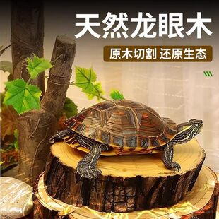 龙眼木乌龟晒台爬台晒背台龟缸造景天然躲避养龟专用垫脚歇脚休息