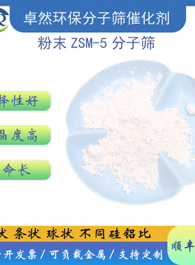 HZSM-5分子筛纳米级氢型100g 沸石催化剂 zsm5分子筛  VOC吸附剂