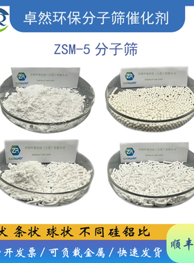 纳米zsm-5分子筛 粉末1kg HZSM5催化剂 甲苯烷基化 催化剂载体