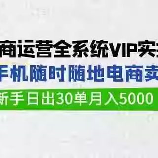 闲鱼电商运营全系统VIP实战课，1部手机随时随地卖货 30单月入500