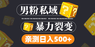 男粉项目，一个作品变现1000+，新渠道新玩法，一部手机实现月入