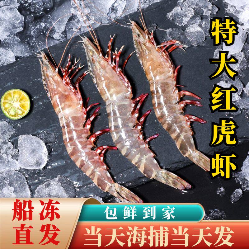 超大红虎虾黑虎虾鲜活野生海虾冷冻特大老虎虾海鲜红爪虾速冻大虾